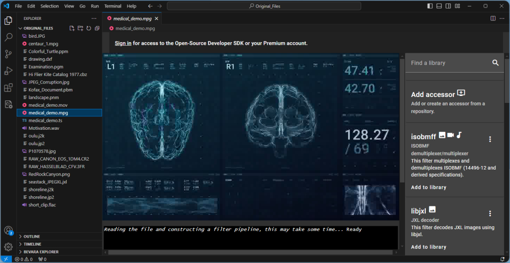 The selected file is displayed.