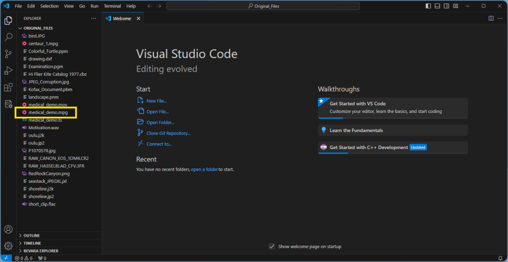 Bevara Access VS Code Extension Successfully Installed